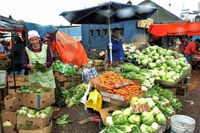 LLUVIA EN LA FERIA (Chile)